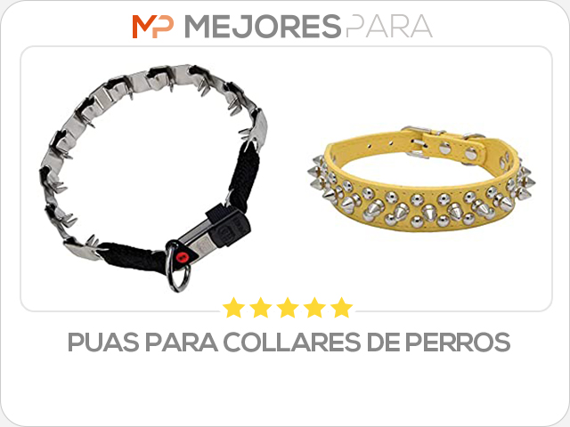 puas para collares de perros