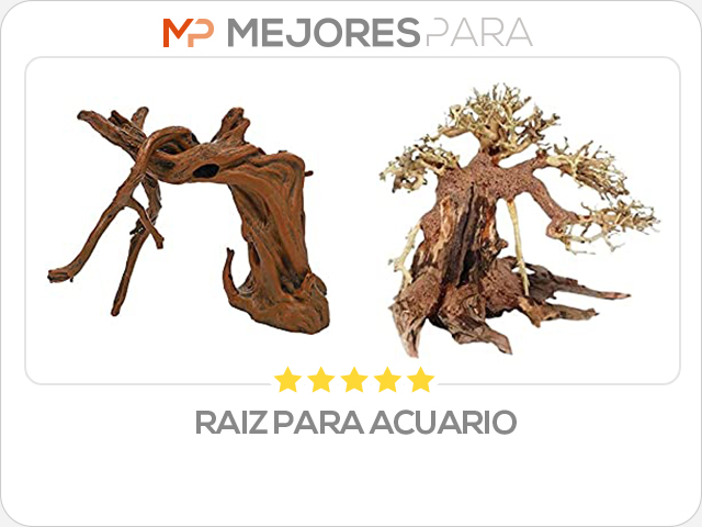 raiz para acuario