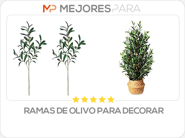 ramas de olivo para decorar