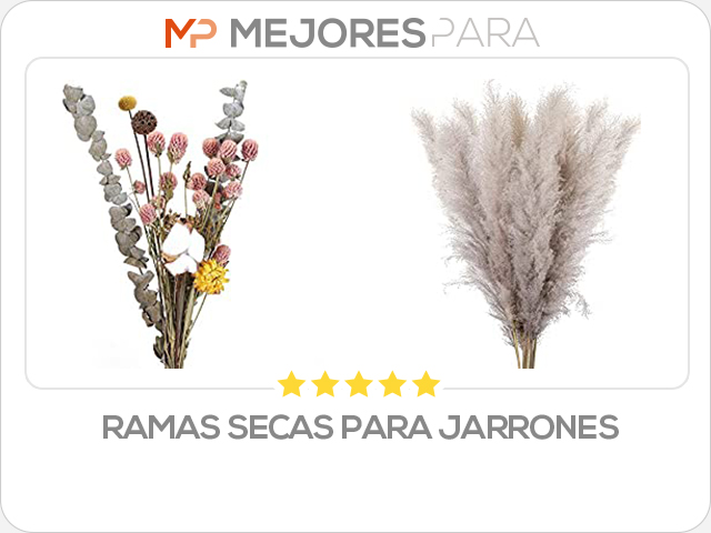 ramas secas para jarrones