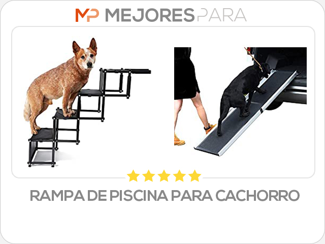 rampa de piscina para cachorro