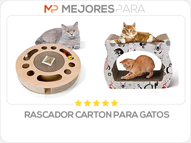 rascador carton para gatos