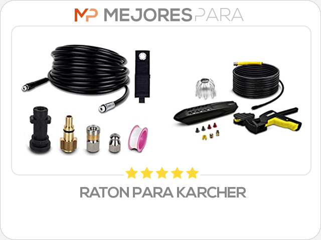 raton para karcher