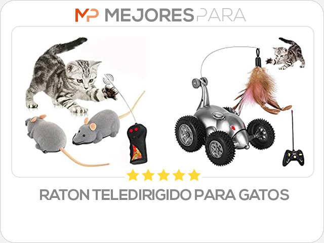 raton teledirigido para gatos