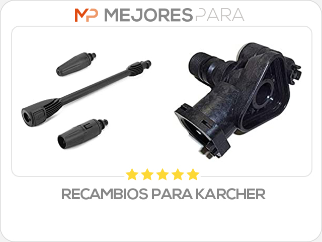 recambios para karcher