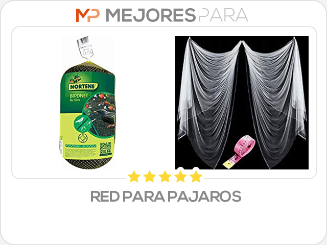 red para pajaros