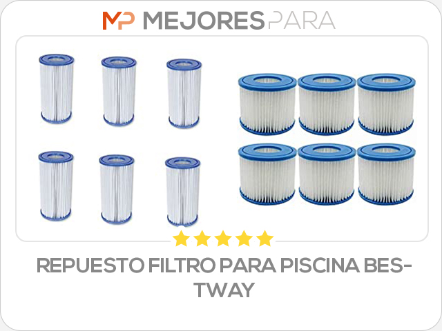 repuesto filtro para piscina bestway