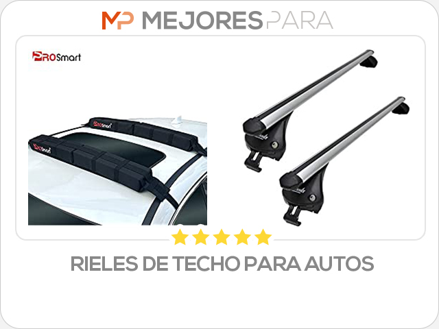 rieles de techo para autos