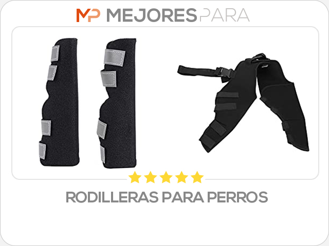 rodilleras para perros