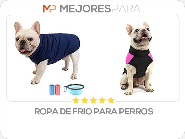 ropa de frio para perros