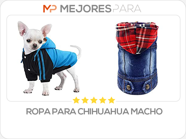 ropa para chihuahua macho