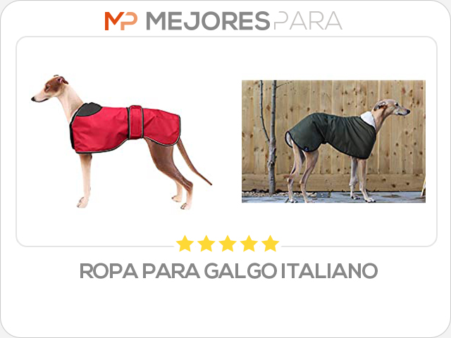 ropa para galgo italiano