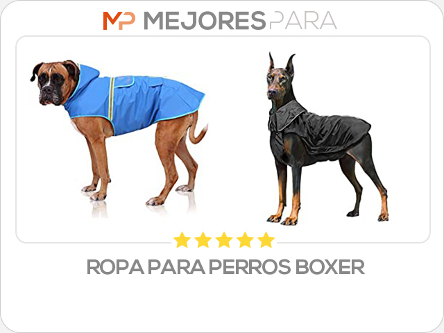 ropa para perros boxer