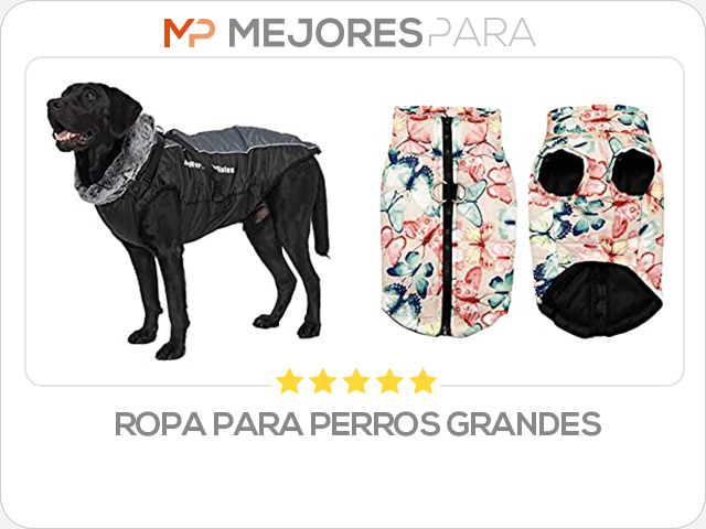 ropa para perros grandes