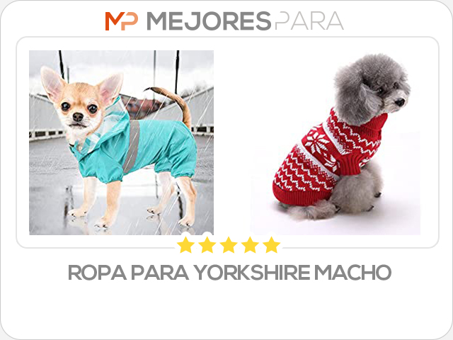 ropa para yorkshire macho