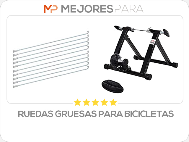 ruedas gruesas para bicicletas