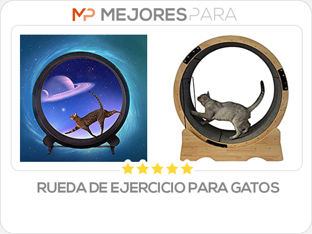 rueda de ejercicio para gatos