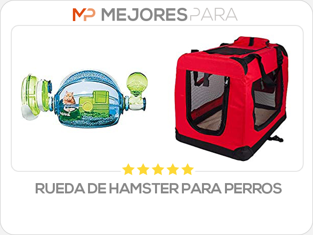 rueda de hamster para perros