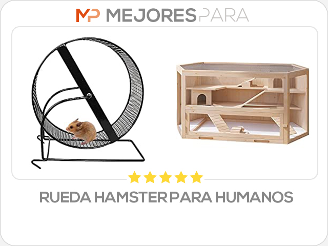 rueda hamster para humanos