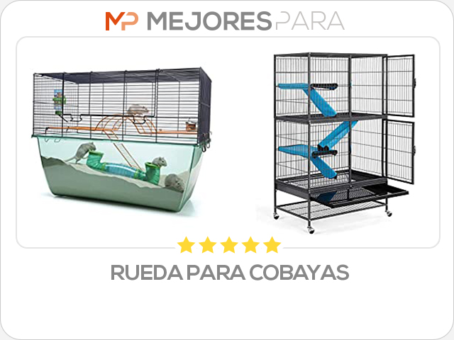 rueda para cobayas