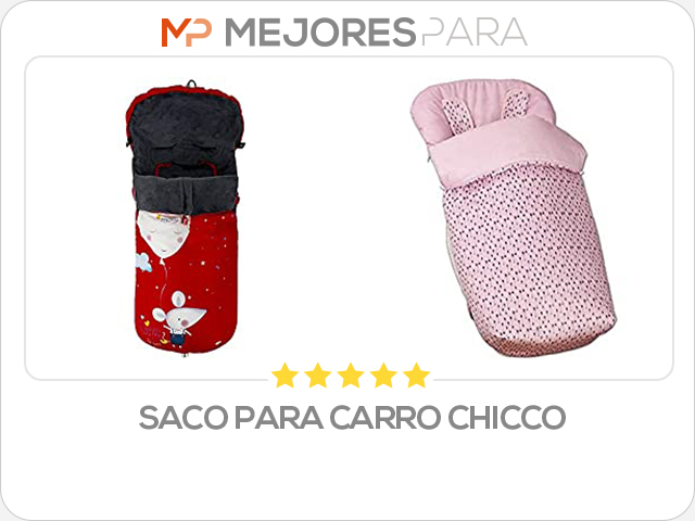 saco para carro chicco