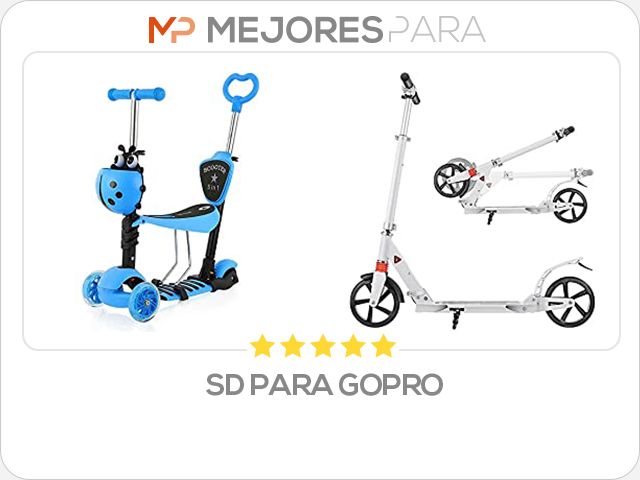 sd para gopro