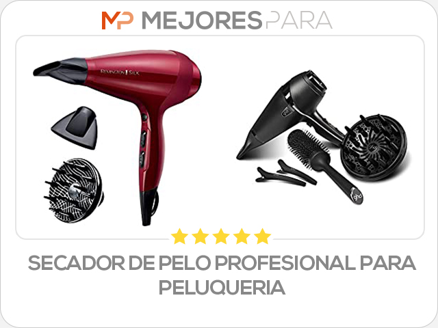 secador de pelo profesional para peluqueria