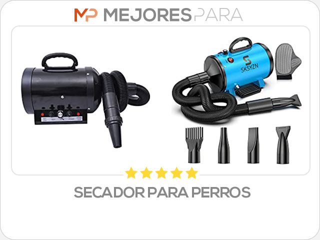 secador para perros