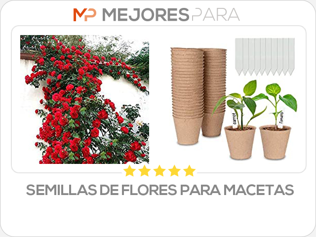 semillas de flores para macetas