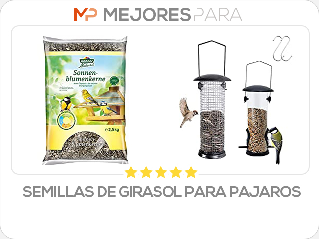 semillas de girasol para pajaros