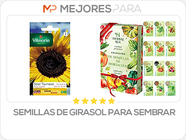 semillas de girasol para sembrar