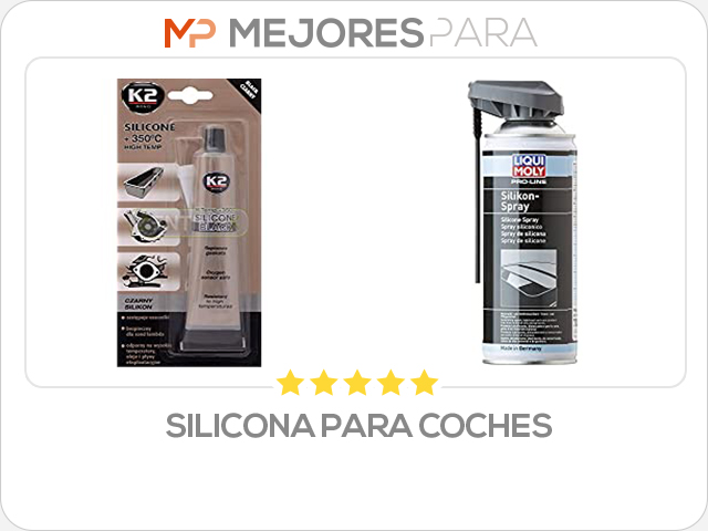 silicona para coches