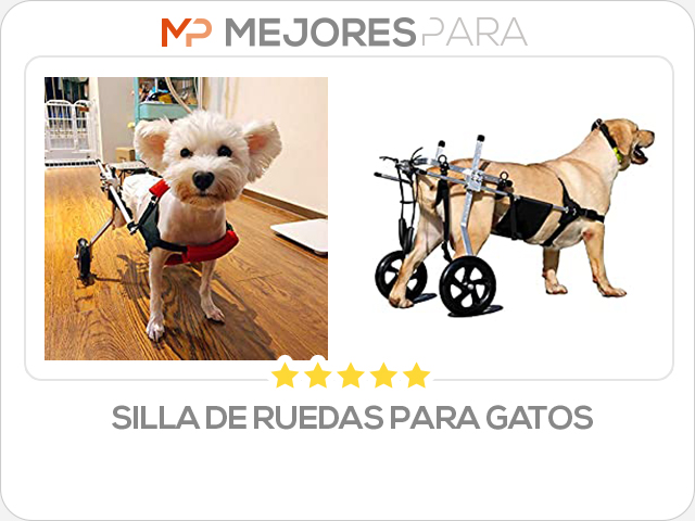 silla de ruedas para gatos