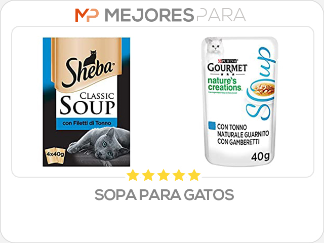 sopa para gatos