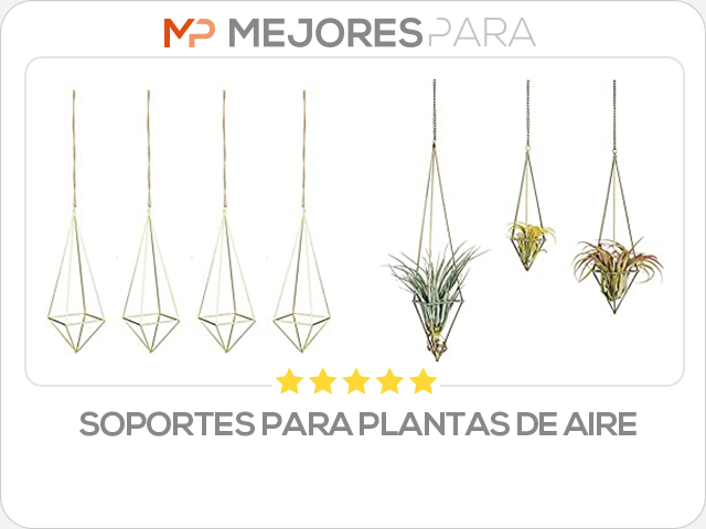 soportes para plantas de aire