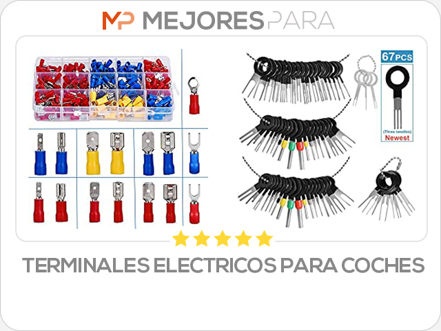 terminales electricos para coches