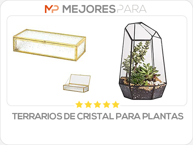 terrarios de cristal para plantas