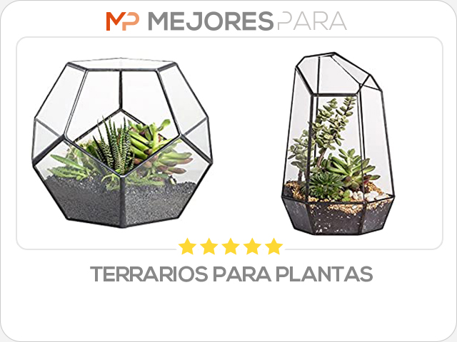 terrarios para plantas