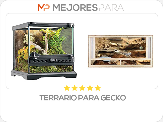 terrario para gecko