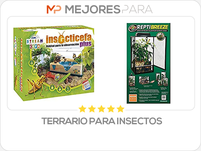 terrario para insectos