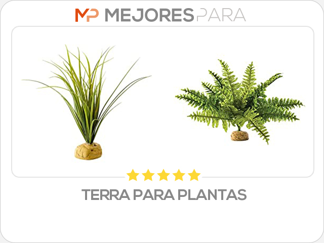 terra para plantas