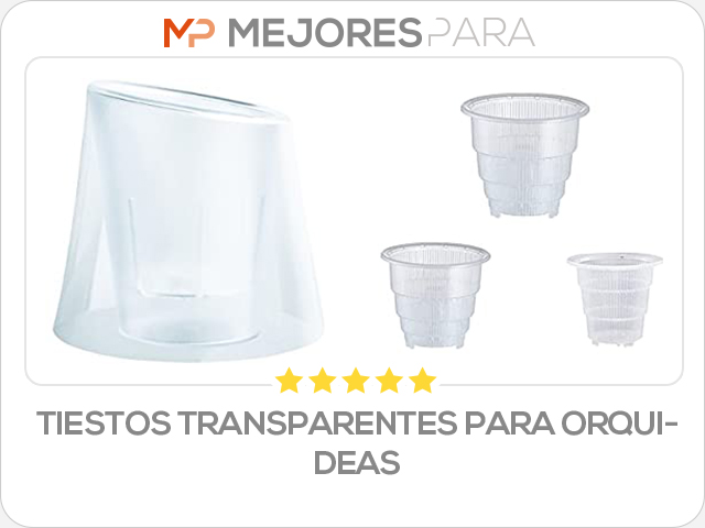 tiestos transparentes para orquideas