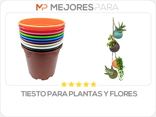 tiesto para plantas y flores