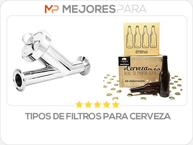 tipos de filtros para cerveza