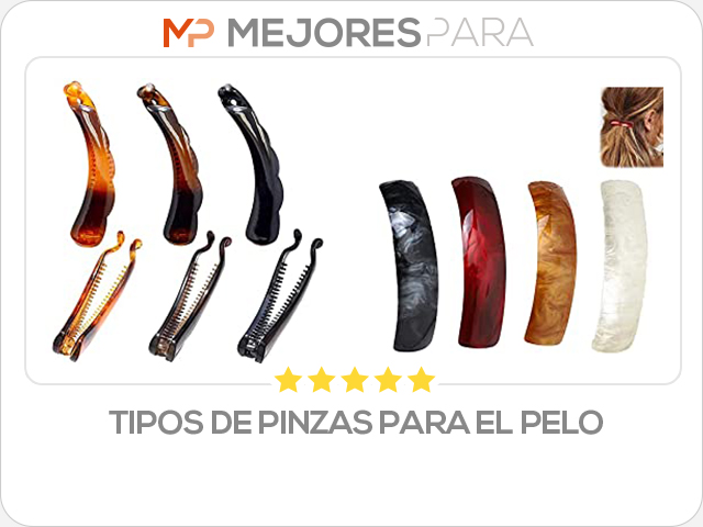 tipos de pinzas para el pelo