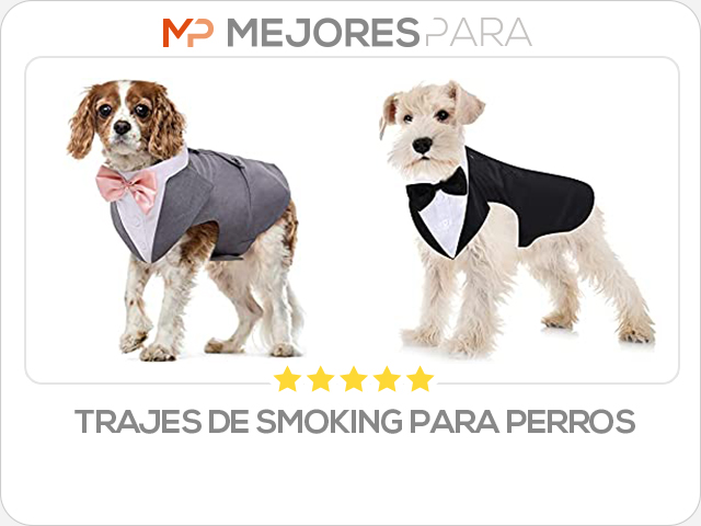 trajes de smoking para perros