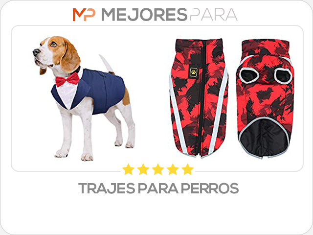 trajes para perros