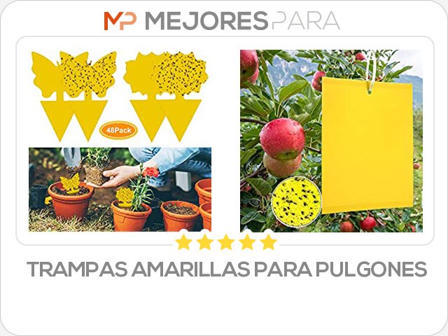 trampas amarillas para pulgones