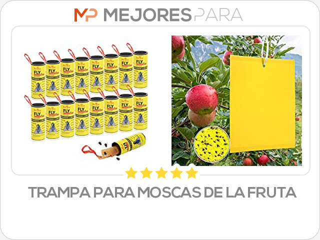 trampa para moscas de la fruta