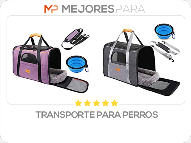 transporte para perros